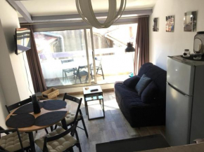 T2 Le loft de Steenia